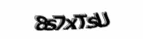 Security check image, please type the characters shown